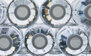 The Australasian Bottled Water Institute says bottled water does not compete with tap water.